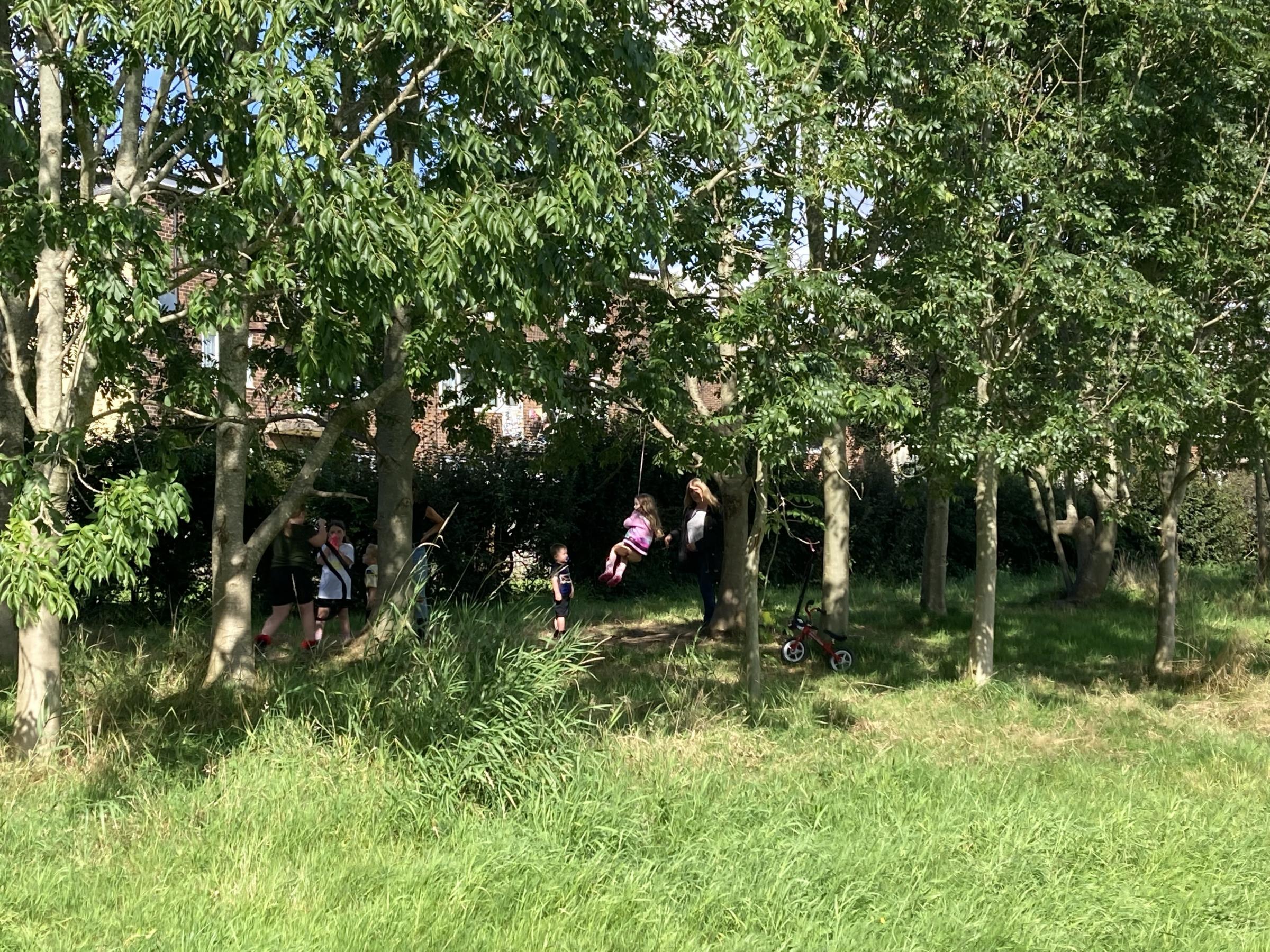 Children playing in the trees in the Ponderosa (Picture: Local Democracy Reporting Service)