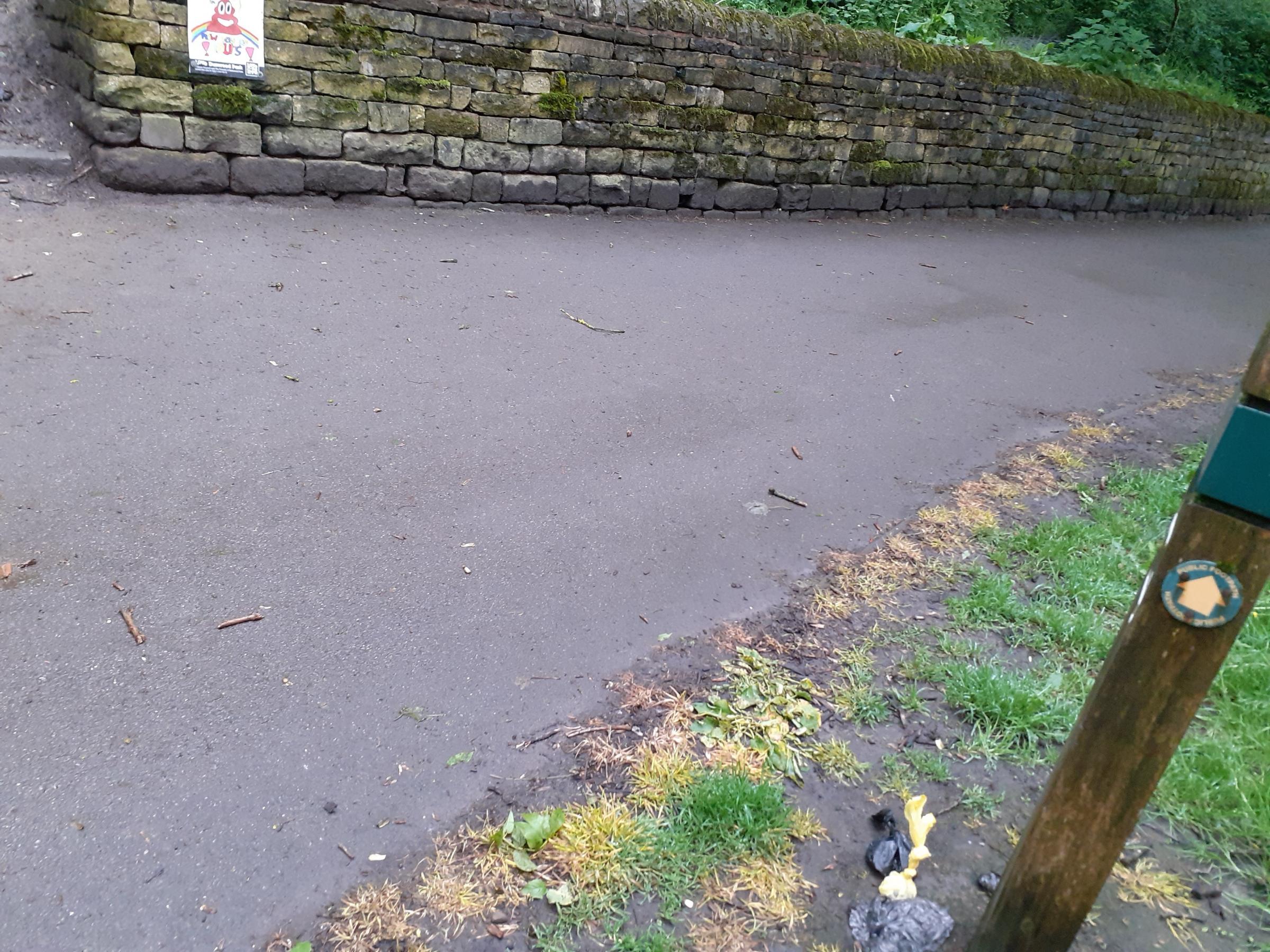 Bins are missing at Dunwood Park in Shaw (Picture: Cllr Howard Sykes)